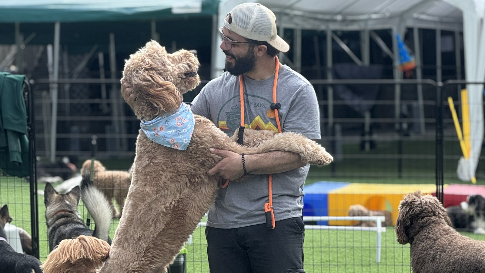 Hudson Hounds staff member doting on standing dog