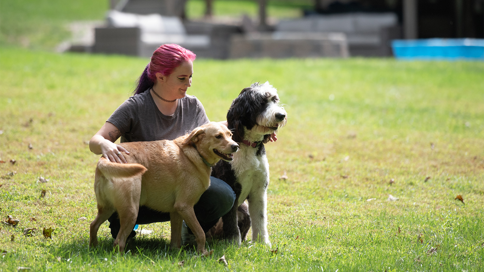 Noelle crouching with two dogs