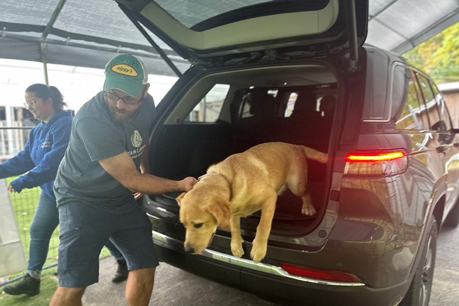 Pickup & Drop-Off Services