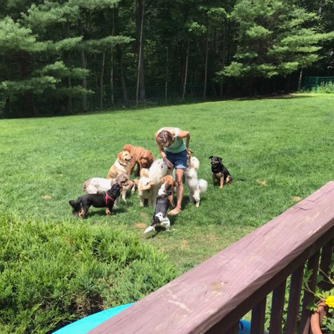Christine with a group of dogs in an open yard
