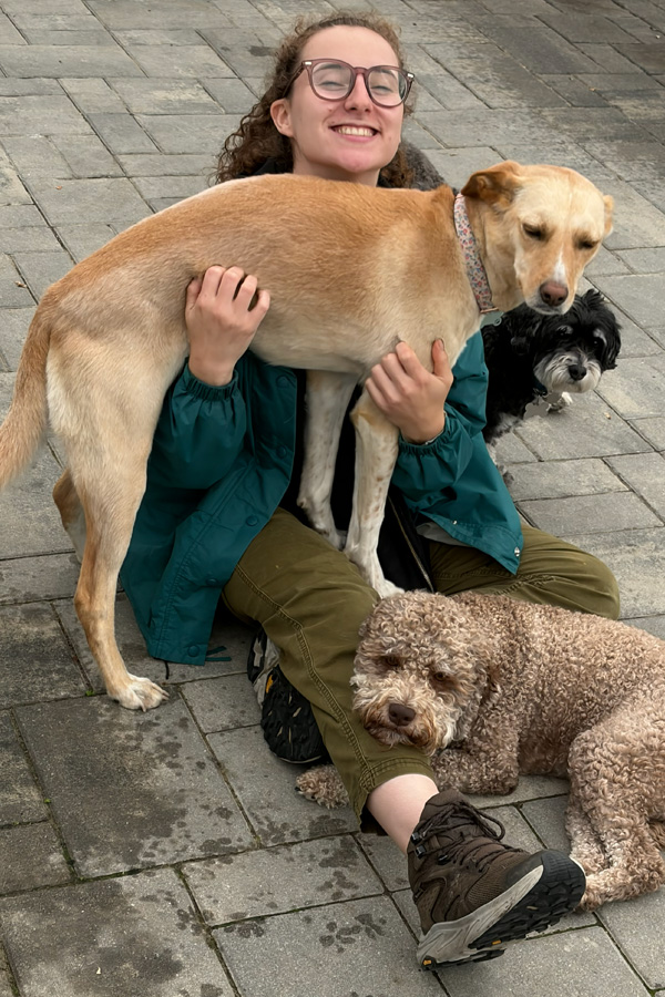 Staff with dogs